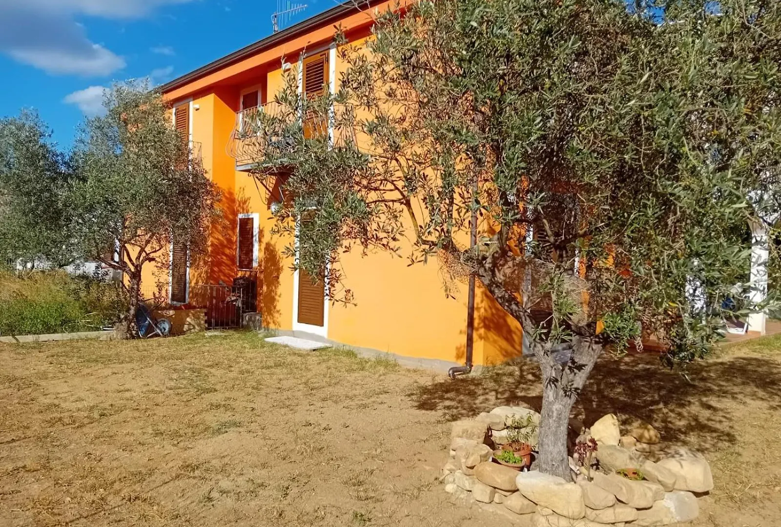 Apartament Carmen House Olia Speciosa